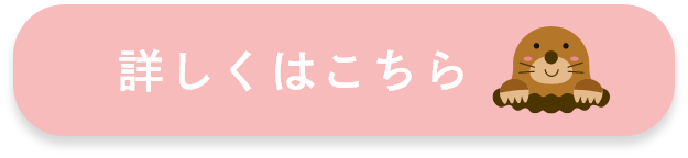 詳しくはこちら