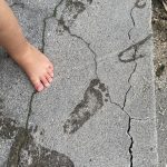 ことり組▽　季節が移って　遊びもかわって