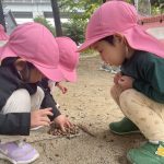 ことり組▽金木犀と どんぐり拾いと 落ち葉踏みと 眠くない２人