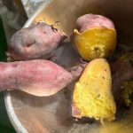 ゆめ・にじぐみ🍠 ホクホクのお芋を味わった一日🍠